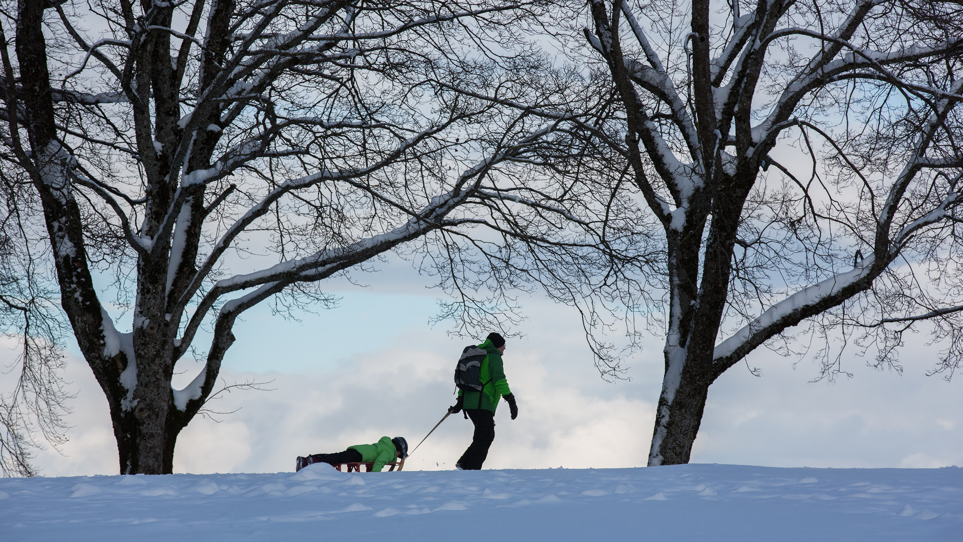 Am Horizont befindet sich ein Erwachsener, der das auf dem Schlitten liegende Kind zieht. Der Park ist mit Schnee bedeckt. 