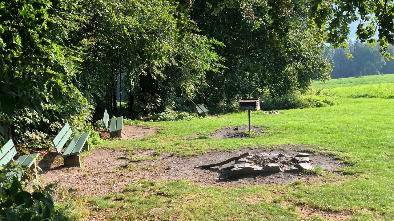 The barbecue at the edge of the woods has a camp fire on the ground. There are green benches on the left to sit and enjoy your food.