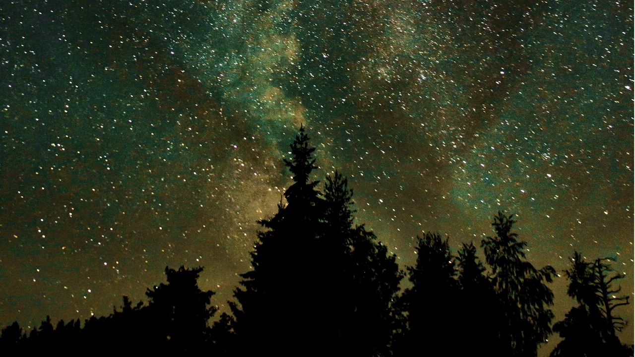 Der unendliche Sternenhimmel mit etlichen Sternschnuppen und Sternen ist hinter der Silhouette des Waldes zu erkennen. 