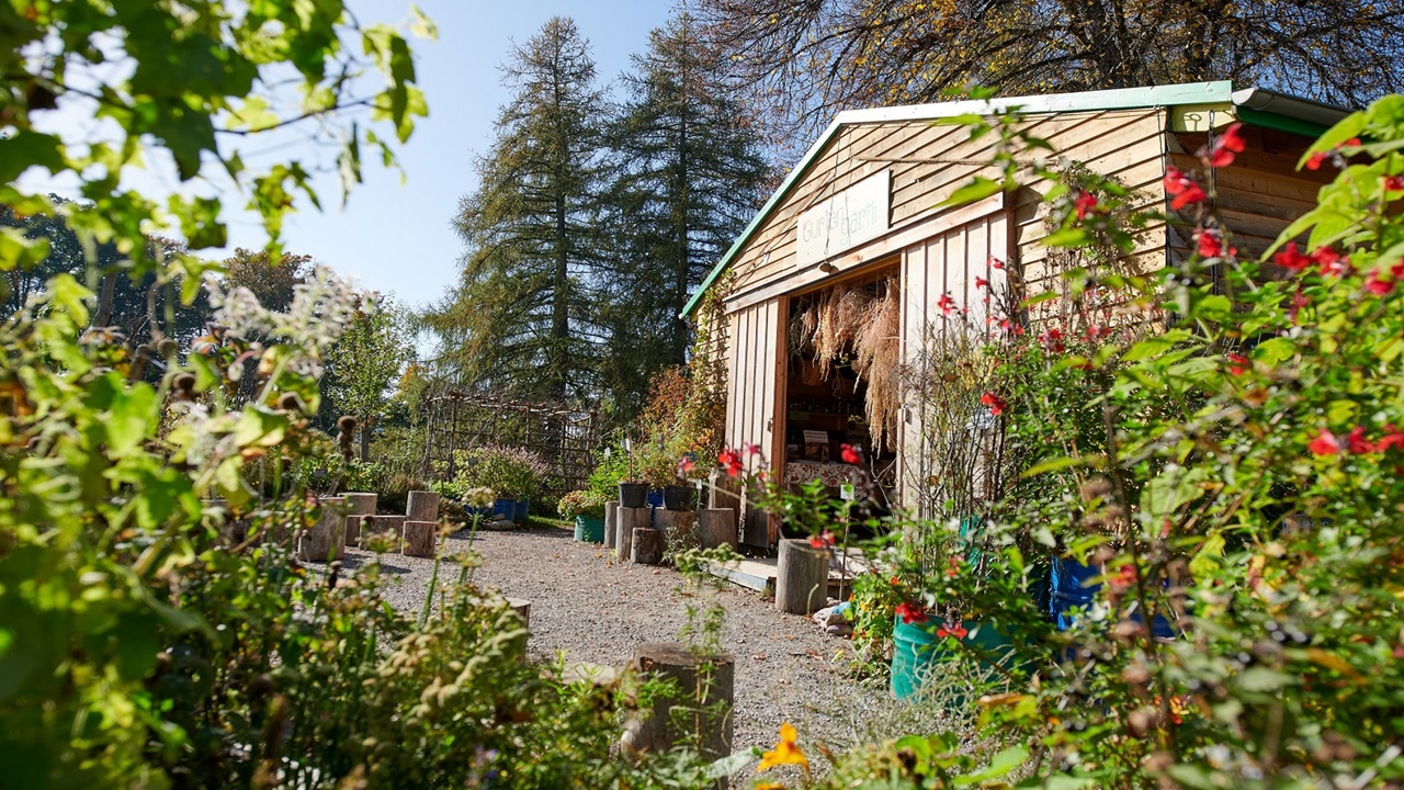 Maisonnette de jardin avec espace vert