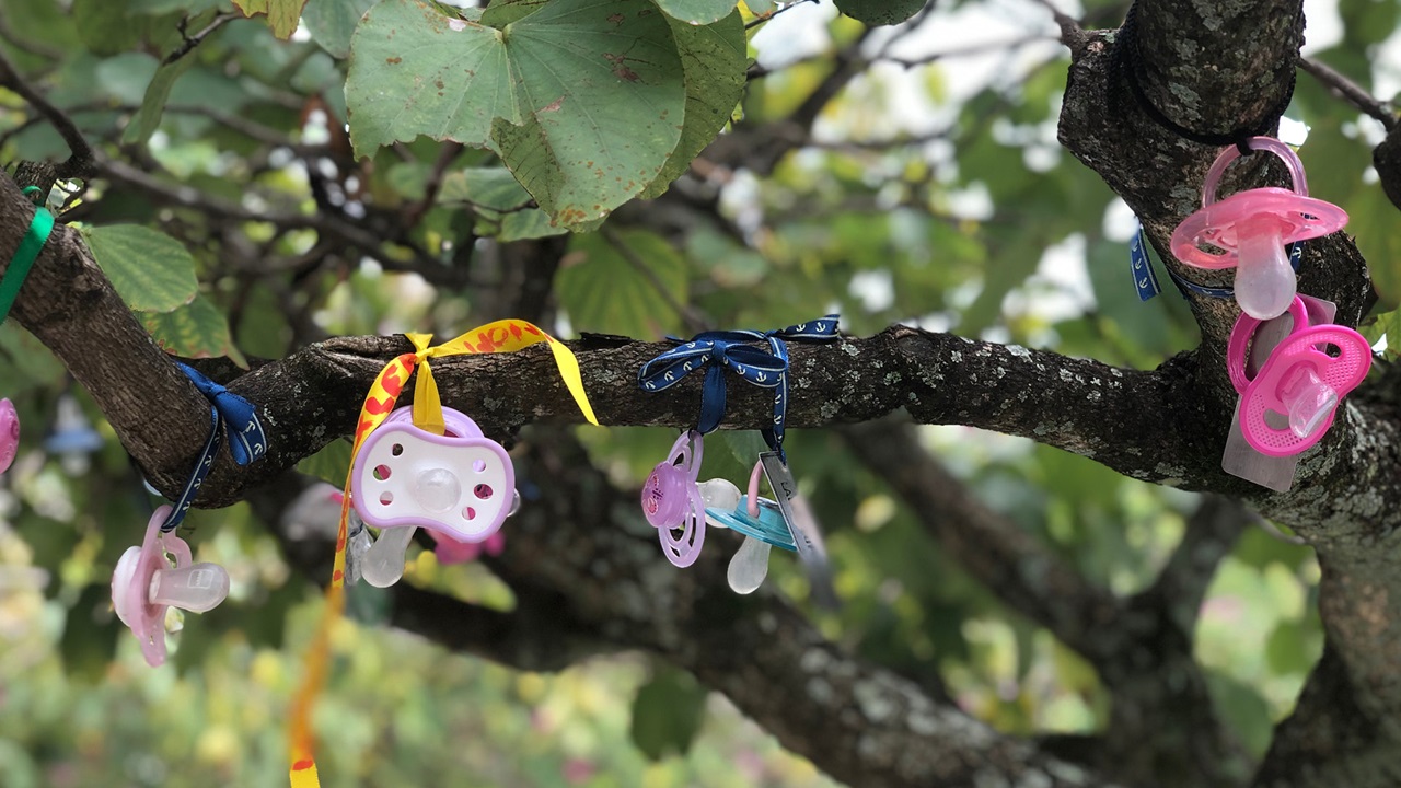 Pacifier hanging on a nuggi tree. 