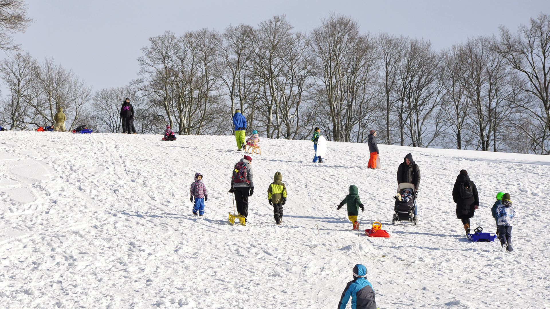 Kleine Kinder ziehen die Schlitten den schneebedeckten Weg hinauf. 