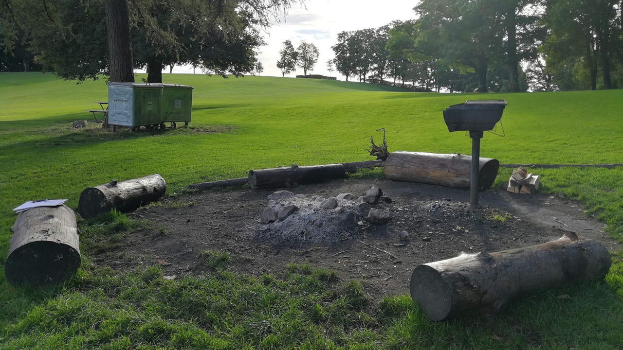 The fire pit in the park has tree trunks around the camp fire.