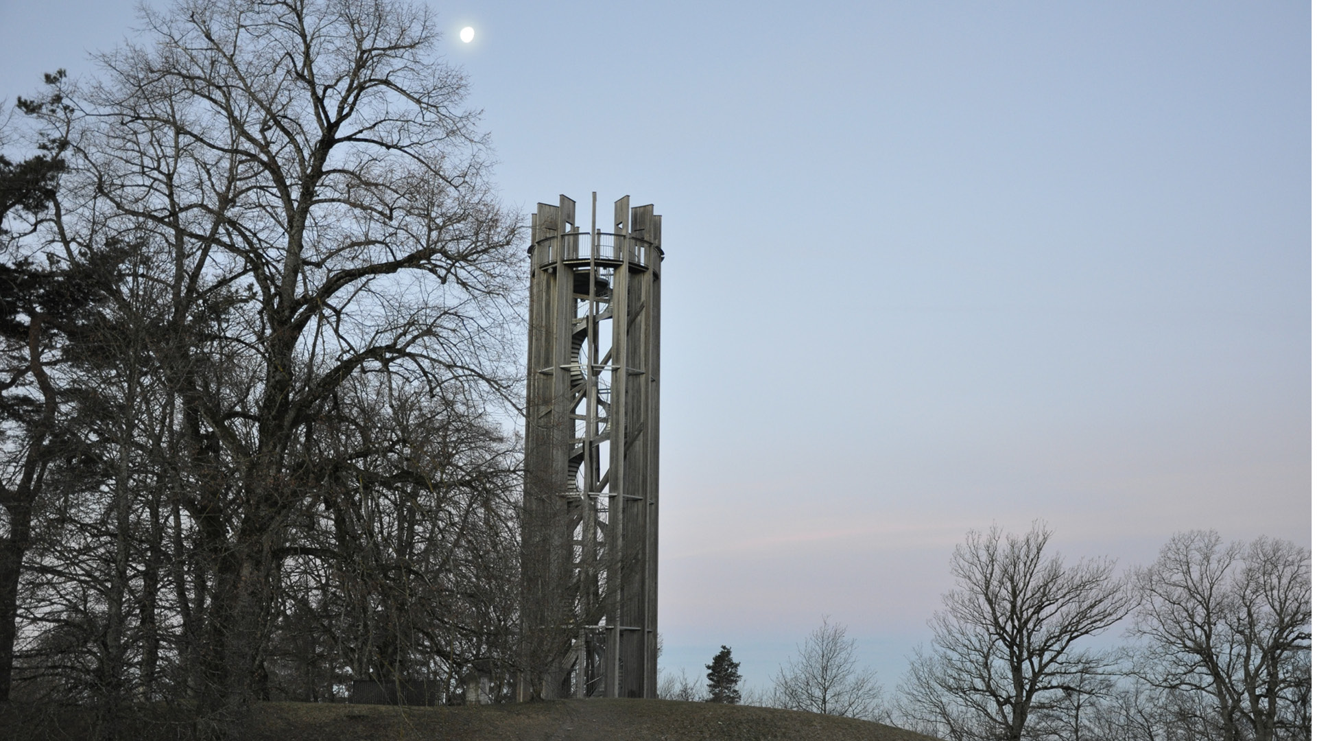 The viewing platform on the Gurten in the fall. The trees are bare and the moon is shining behind them.