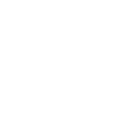Co2-Icon