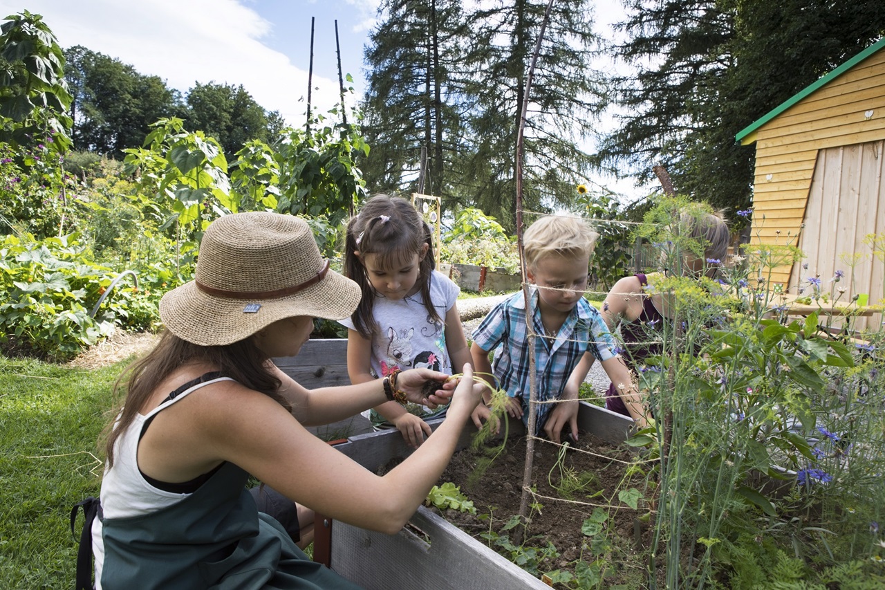A gardener picks berries with children. 