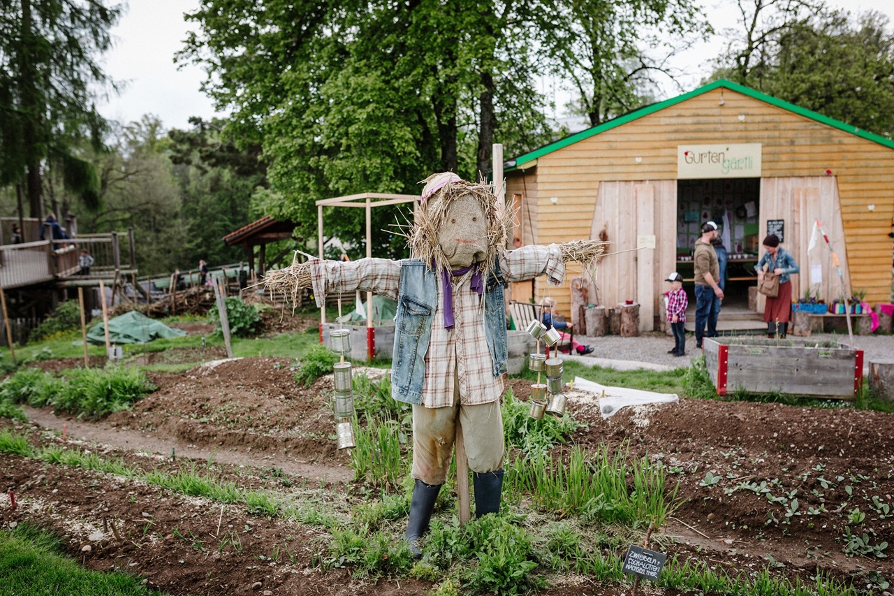 The scarecrow takes pride of place in the Gurten garden