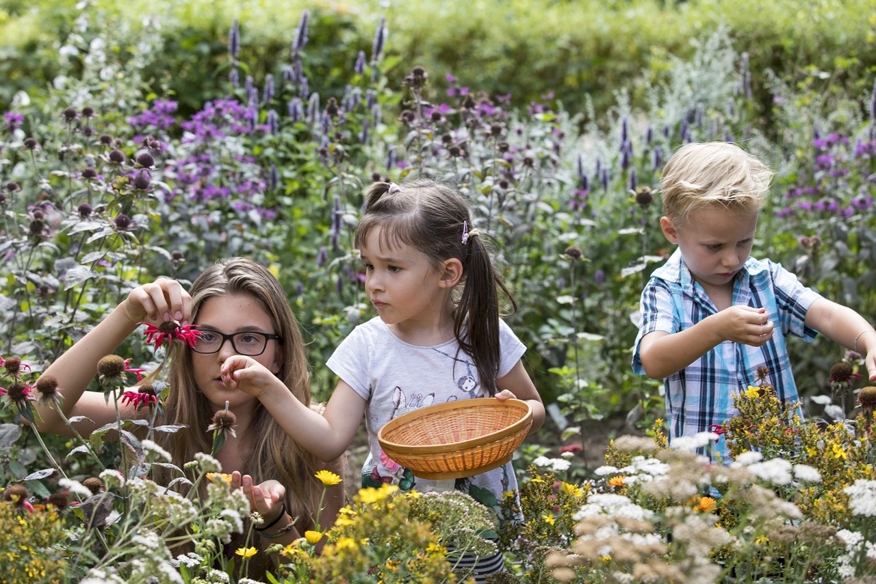 Des enfants cueillent des fleurs dans le Gurtengärtli