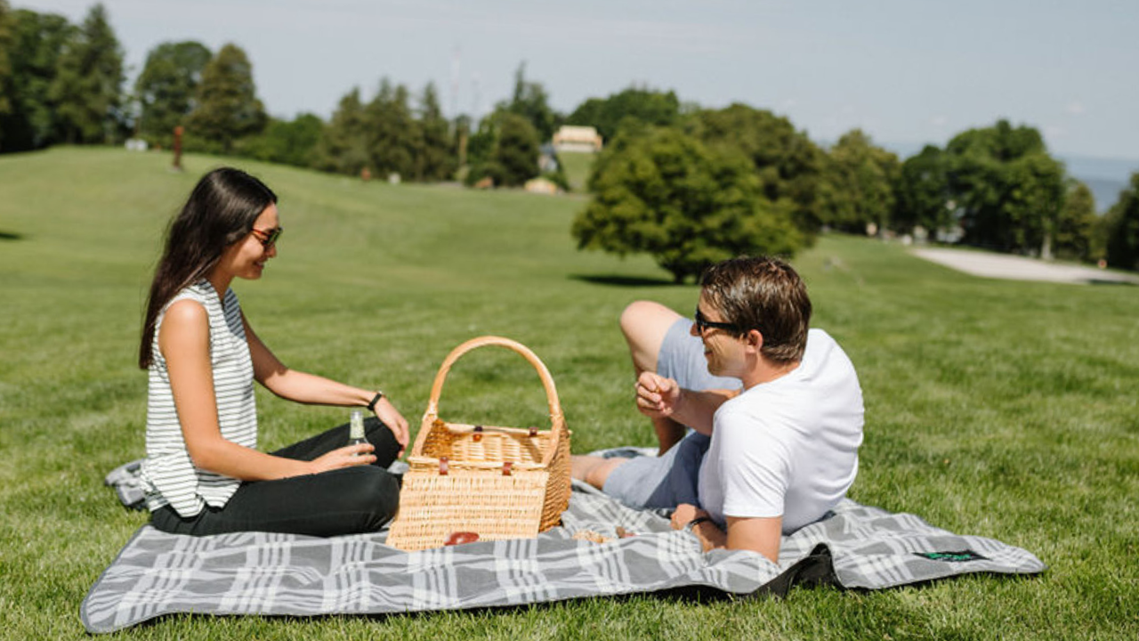 Picknick auf grüner Wiese mit Picknickkorb