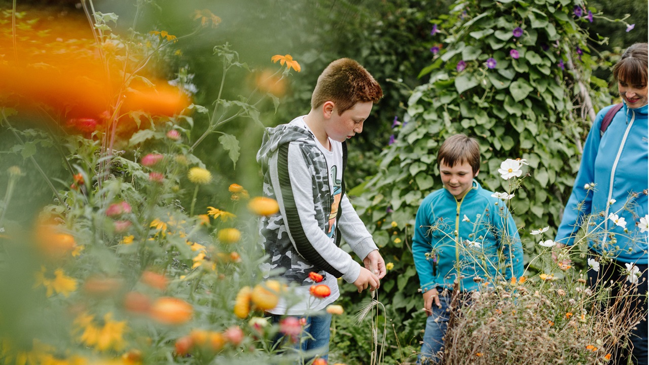 Two children run happily through the Gurten garden and admire the plants and shrubs growing there. 