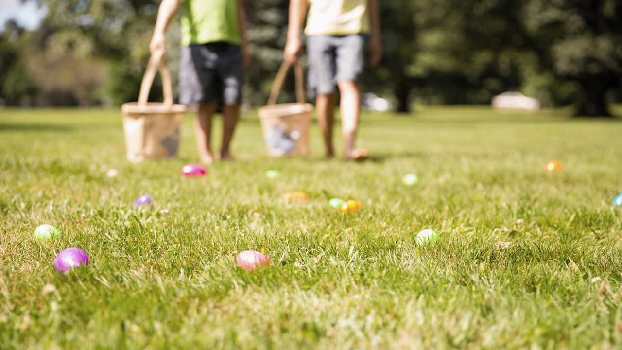 Recherche d'un nid de Pâques dans le parc. Les œufs de Pâques peints en couleur sont posés sur la pelouse.