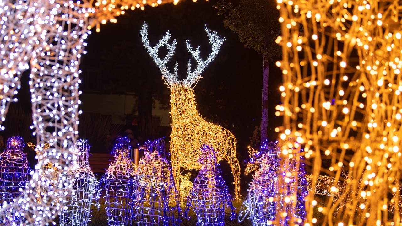 A deer figure in LED lights stands in a park. Thousands of lights shimmer and twinkle as they light the park. The light show illuminates the park.  