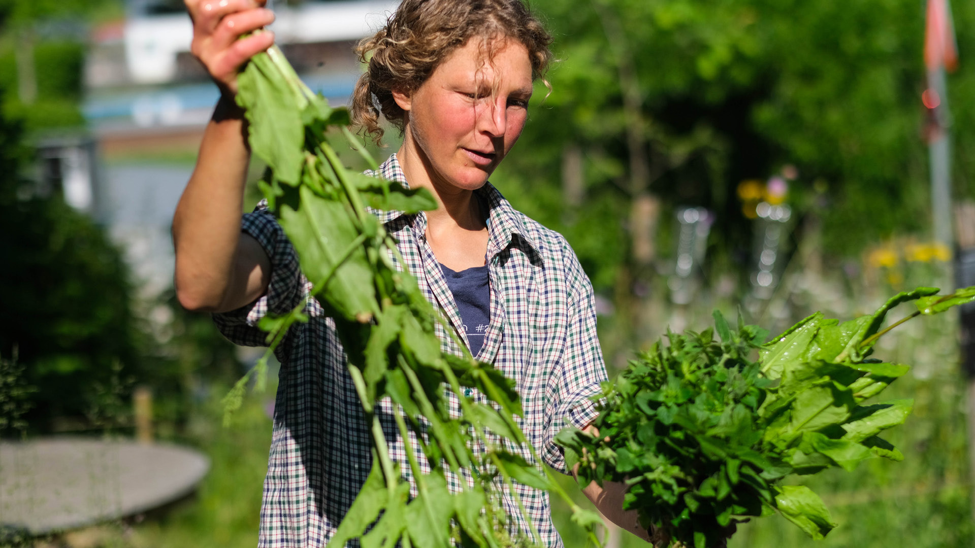 A woman carrying green stuff around in the Gurtengärtli.