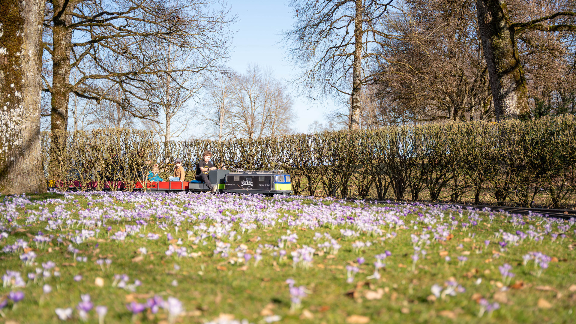 Kleineisenbahn im Frühling fährt durch den Spielpark