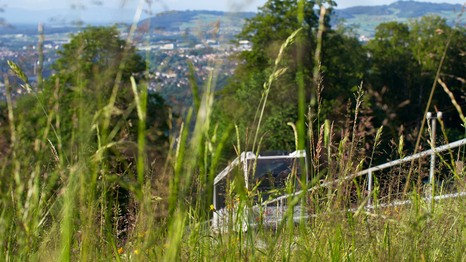 Une photo prise depuis les hautes herbes, montrant le funiculaire de Gurten et la ville de Köniz.