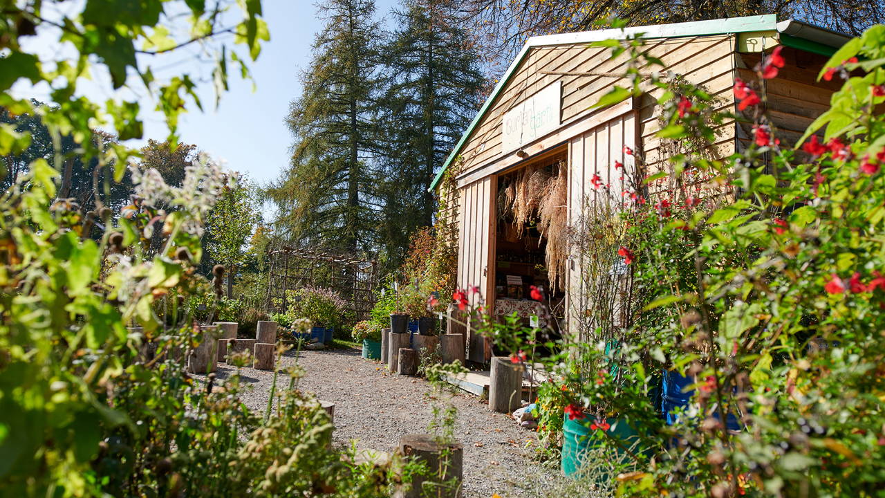 Das Gurtengärtli mit dem Schopf