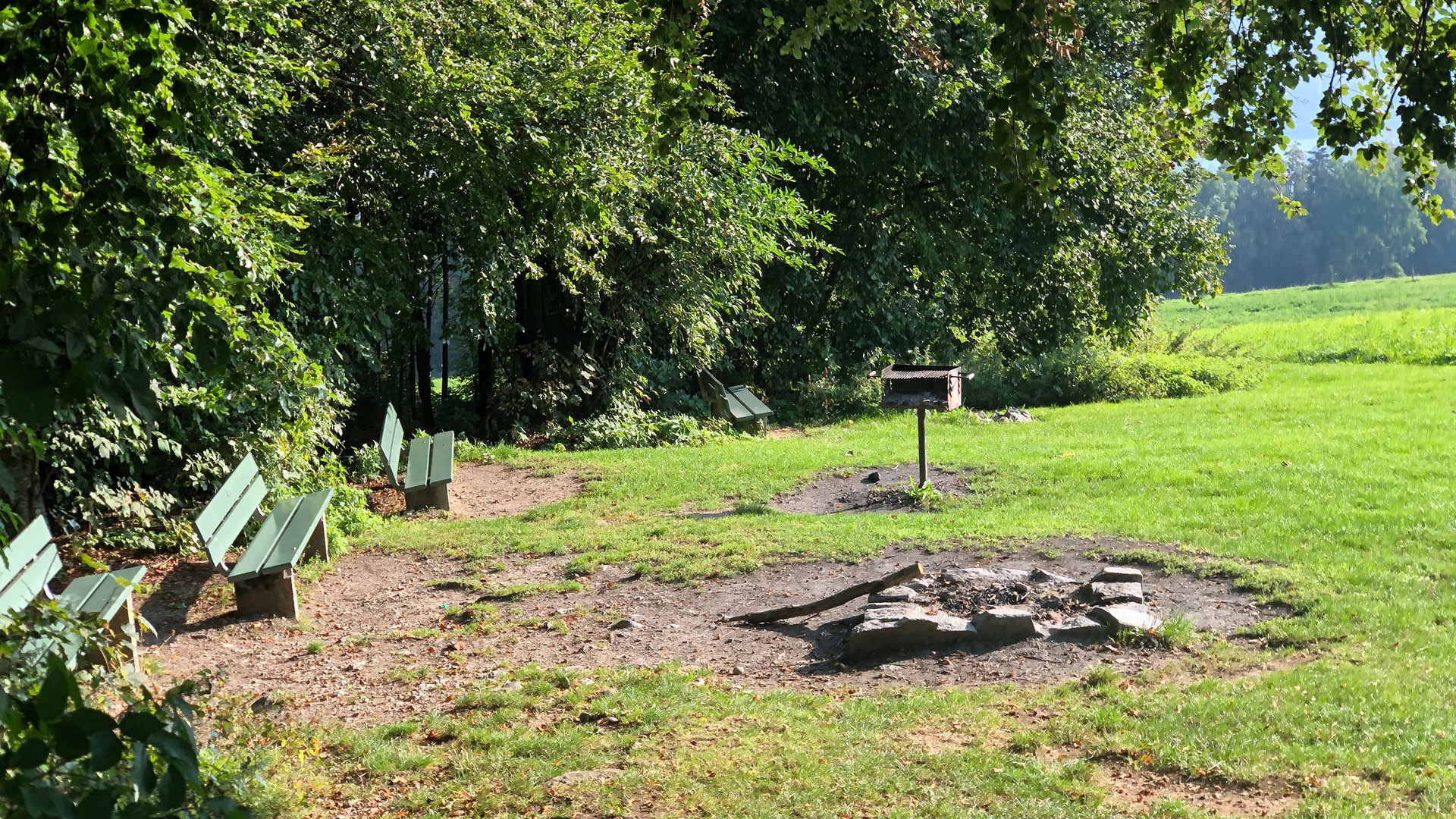 Three benches and a fire pit at the edge of the forest.