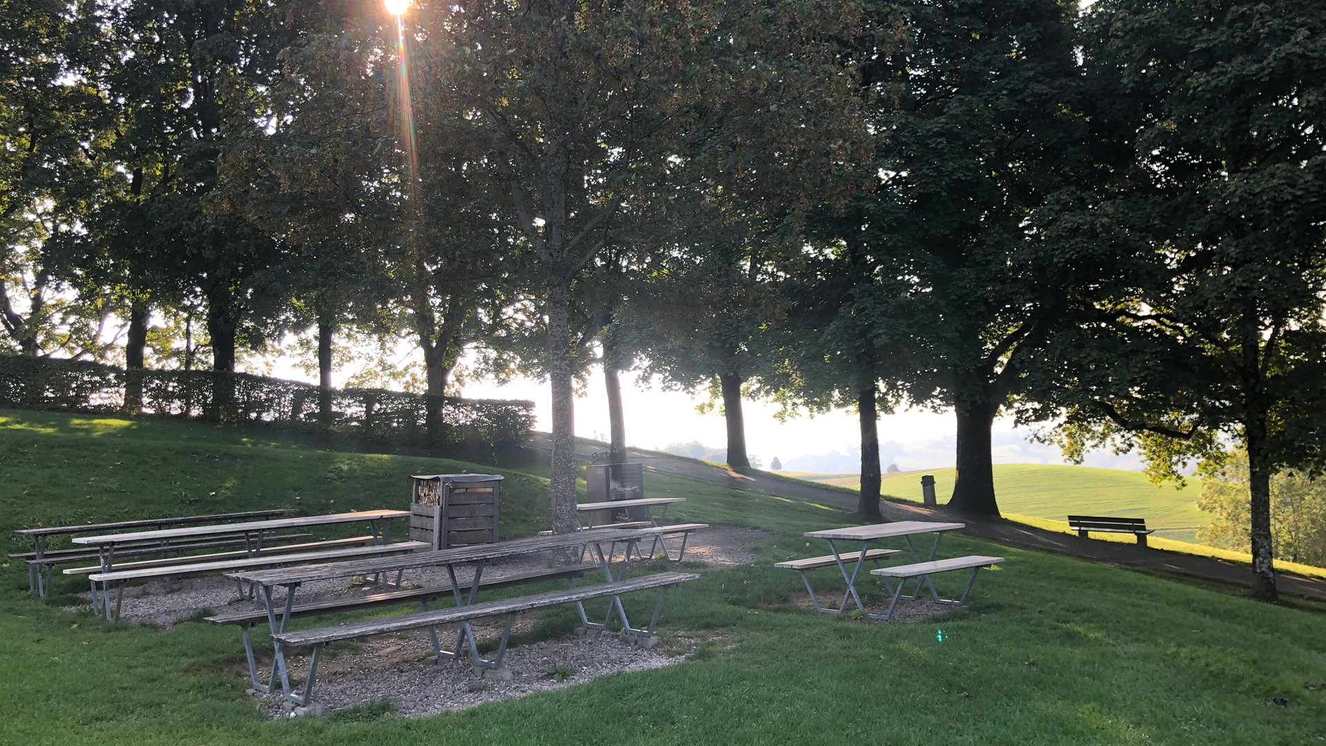 Picnic tables with a fire pit and a walkway in the background.