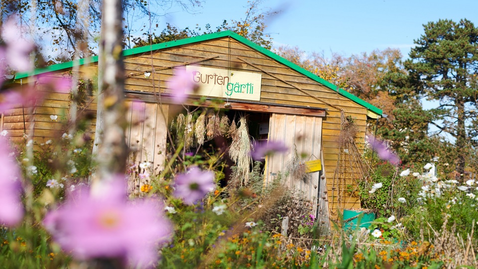 The little house in the Gurtengärtli.