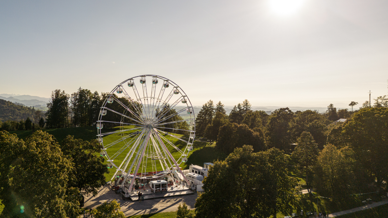 Park mit Wiese und Riesenrad